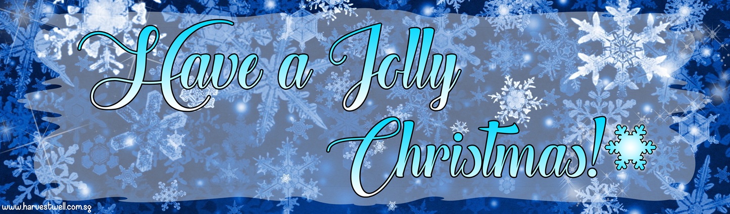 Blue Snowflakes Christmas Customized Banner Singapore